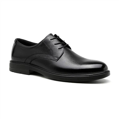 Formal Lace-up Shoes